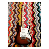 Fender Stratocaster American Special Custom Shop Pickups 