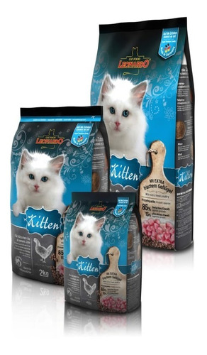 Leonardo Gato Kitten 2kg Razas Mascotas