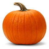 10 Semillas De Calabaza  Atlantic Giant (hallowen)