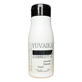 Shampoo Matizador Canas Silver Corrective Yuvaika 350ml