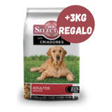 Dog Selection Perro Adulto 21 + 3 Kg Regalo - Happy Tails