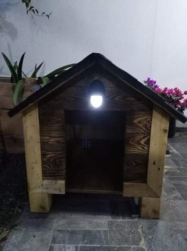 Casa Para Perro