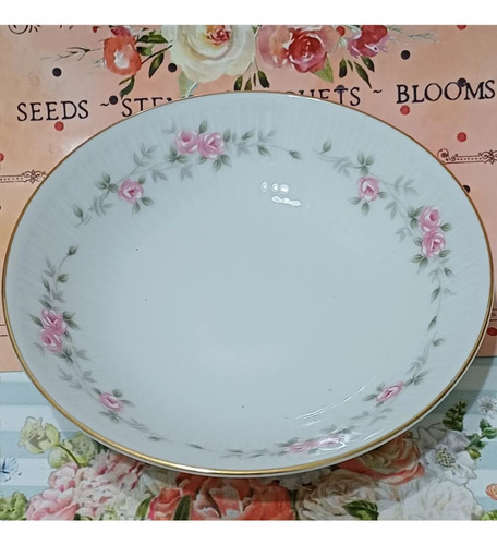 Plato Hondo De Porcelana Tsuji Doble Rosa Shabby 