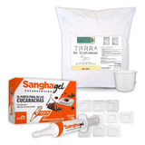 Kit Mata Cucarachas Tierra De Diatomeas Gel Insecticida Cebo