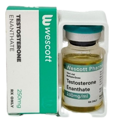 Testosterona Enantato 250 Mg/ml