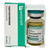 Testosterona Enantato 250 Mg/ml