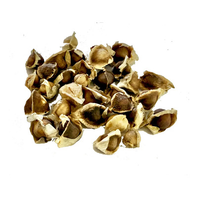 Semilla De Moringa Seca Super Foods 500 Grms | Meses sin interés