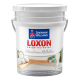 Loxon Membrana Reflectiva Larga Duracion Techo Humedad 25 Kg Color Blanco