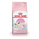 Royal Canin Babycat 34 X 1.5kg