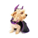 Disfraz Malefican Perro Halloween Talla 1 Mascota Pet Pals