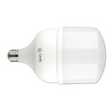 Lámpara Led Bulbon High Power E27 30w Candil Color De La Luz Luz Fría 6500k