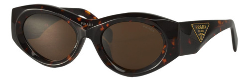 Prada Spr 20z 2au-6s1 Oval Shape Carey Cafe