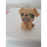 Littlest Pet Shop Bulldog 4