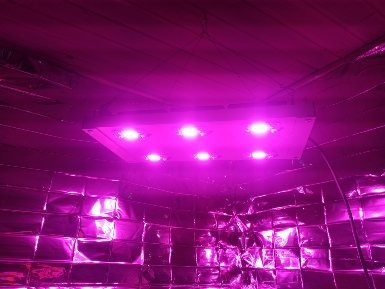 Panel Foco Led Cob 300w Full Spectrum Cultivo Indoor