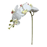 1 Flor Orquídeas Artificial Silicone C/folhas Raizes Arranjo
