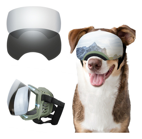 Gafas Para Perros De Raza Grande Con Lentes Magnéticas Y Pro