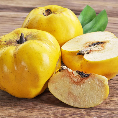 Membrillo Gigante Cydonia Oblonga Var Wranja M.e. Semillon | Meses sin interés