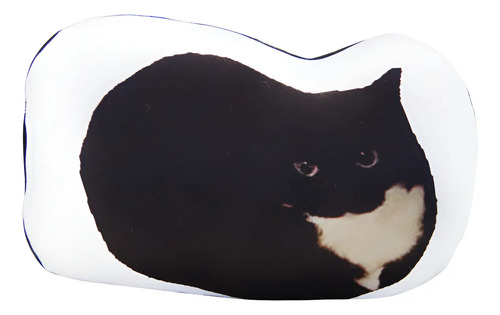 Mini Peluche Almohada Maxwell The Cat Gato Meme