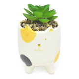 Cachepot Vaso Vasinho Com Suculenta Plantinha Gatos