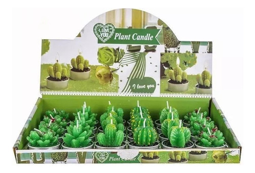 Vela Perfumada Con Diseño De Cactus En Maceta, 24 Piezas