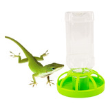 Bebedero Para Mascotas, Ideal Reptiles, Aves Y Mamiferos