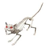 Decorativo Esqueleto De Gato Cat Animado Halloween Casa