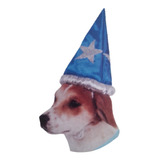 Sombrero De Mago Para Perro