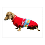 Campera Abrigo Pullover Ropa Para Perros