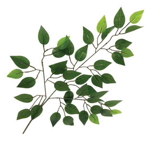 Folha De  Ficus Artificial  Kit 12 Galhos 60x50cm Toque Real