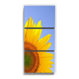 Quadro Decorativo Flor Girassol Botânico Sala Varanda Quarto