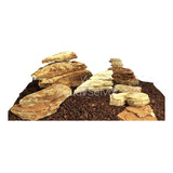 Pagoda Stone Kit 80lt Roca Aquascaping Acuario Terrario