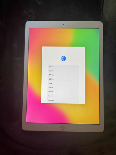 iPad Pro 2da Generación 256 Gb 12,9 Impecable
