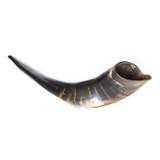 Shofar Grande De Cabra 41 A 44 Cm G4