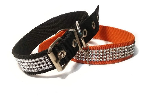 Collar Con Brillo Para Animales Medianos Talle 3