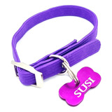 Mini Chapita Perro Gato Hueso + Collar Elastizado Violeta  