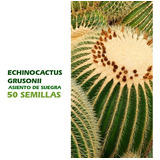  Semillas De Cactus - Echinocactus Grusonii  50 Unidades 