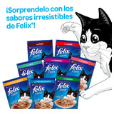 Pack 4 Sachet Felix Adulto Surtido Purina 