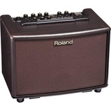 Coro Roland Ac-30-watt 33rw 2x5 Pulgadas Guitarra Acústica A