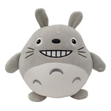 Peluches Alcancía Con Sonidos Y Luces Totoro Pikachu Kuromi