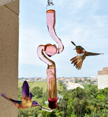 Bebedouro De Vidro Alto Luxo Coração Beija-flor E Pássaros