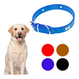 Collar Para Perros 57x3 Cm Perritos Varios Colores