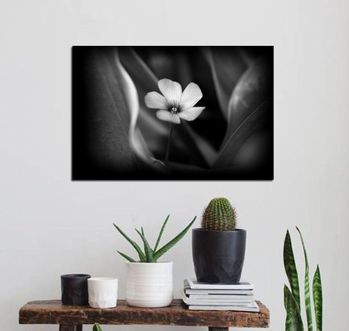 Vinilo Decorativo 60x90cm Pequeña Flor En Blanco Y Negro