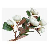 Dophinena Ramas De Flores Artificiales De Magnolia, Tallos D