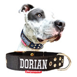 Collar Canino Personalizado Para Razas Fuertes (grandes)