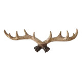 Gancho De Pared Creative Resin Antler, Colgador De Pared Par