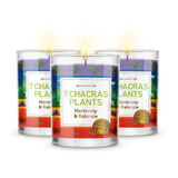 7 Chakras Plantas Set De 3 Velas