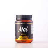 Mel Silvestre 500g Direto Do Produtor - Santa Catarina