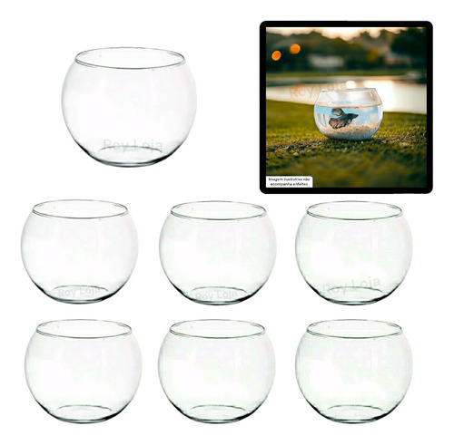 5 Vaso Aquário Redondo Pequeno 800 Ml Vidro Transparente