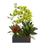 Arreglo De Seda De Orquídeas Y Bromelias Casi Natural 1 Dend