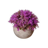 Planta Artificial Con Maceta, Mini Arbusto Flores, 13*13 Cms